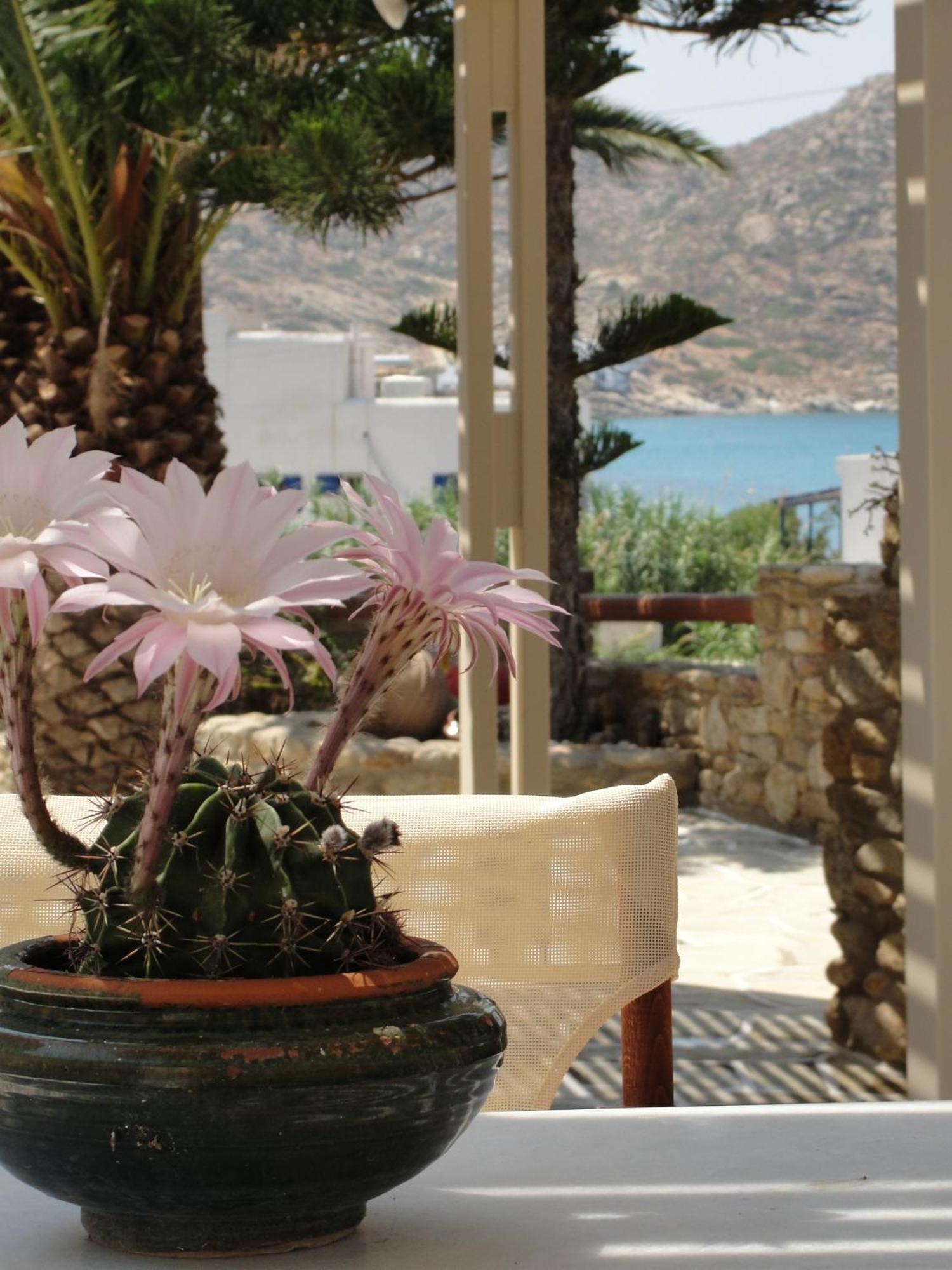 Galaxy Hotel Mylopotas Bagian luar foto